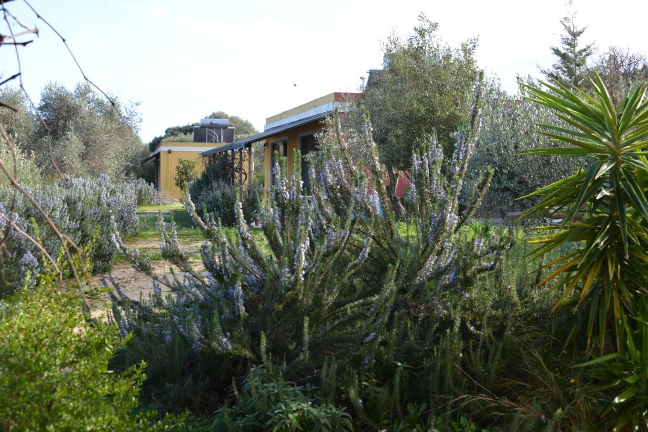 B&B Casa Per Ferie Villaggiocarovana كاستياداس المظهر الخارجي الصورة