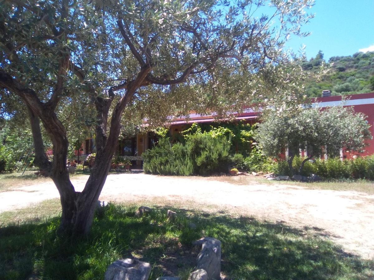 B&B Casa Per Ferie Villaggiocarovana كاستياداس المظهر الخارجي الصورة