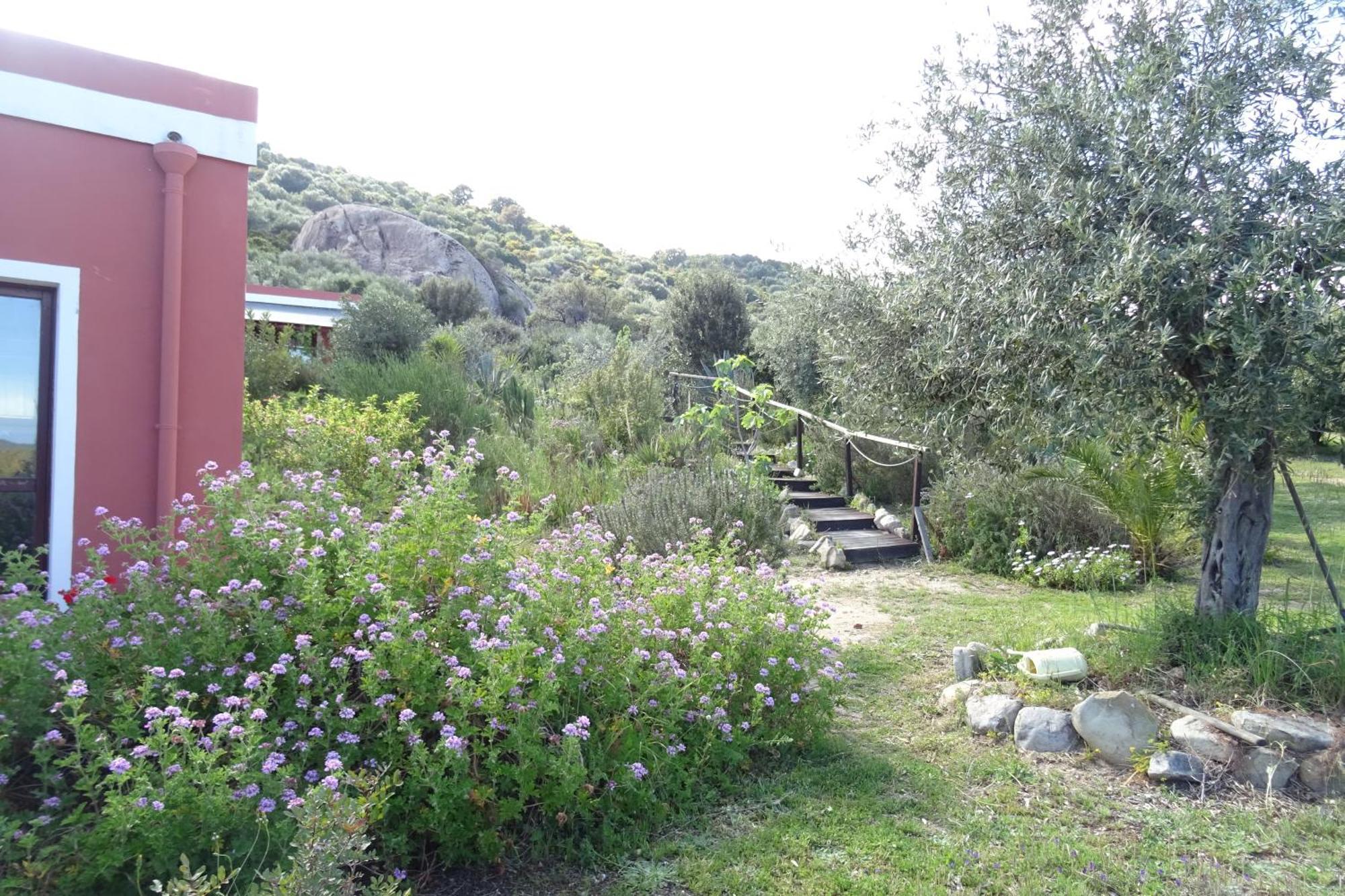 B&B Casa Per Ferie Villaggiocarovana كاستياداس المظهر الخارجي الصورة