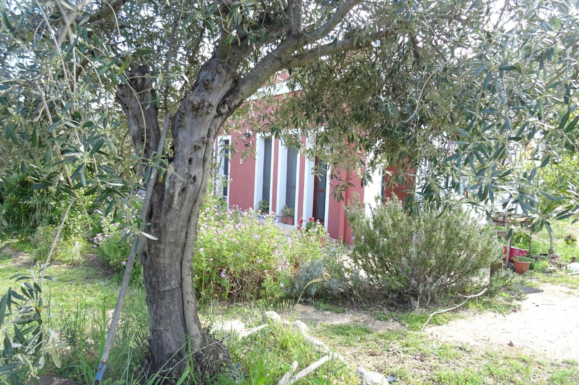 B&B Casa Per Ferie Villaggiocarovana كاستياداس المظهر الخارجي الصورة