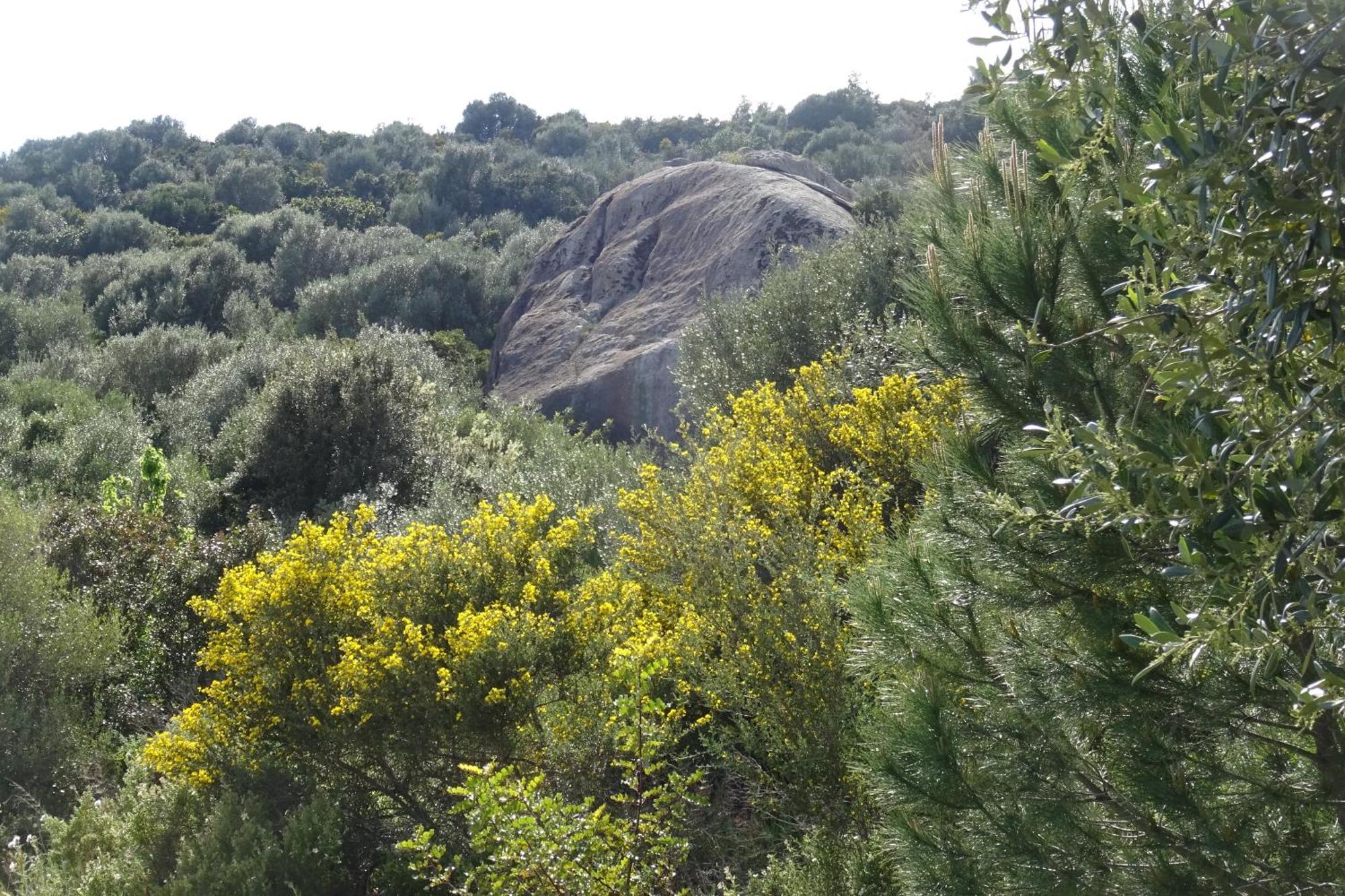 B&B Casa Per Ferie Villaggiocarovana كاستياداس المظهر الخارجي الصورة