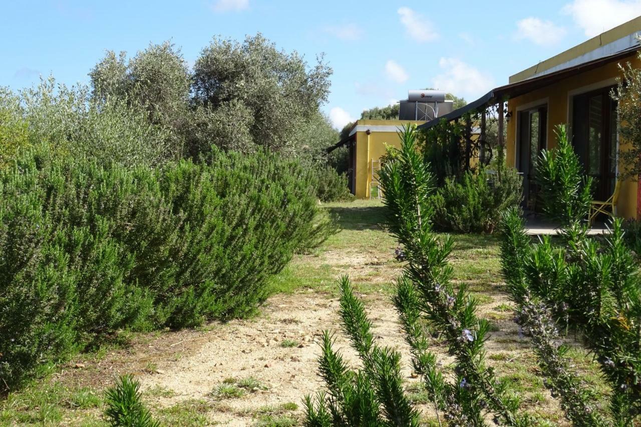 B&B Casa Per Ferie Villaggiocarovana كاستياداس المظهر الخارجي الصورة